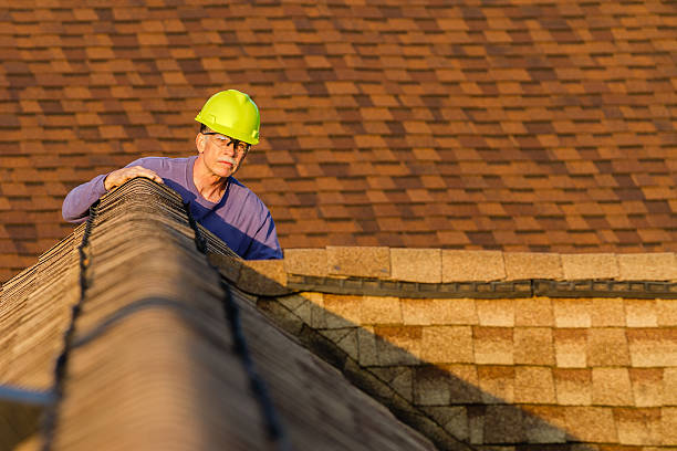 Roof Gutter Cleaning in Level Park Oak Park, MI